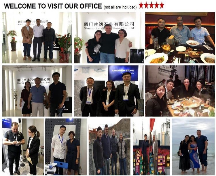 Landiview partners Landiview partners